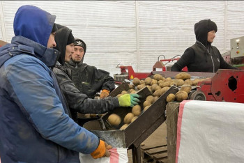 Қазақстанда 26 жаңа көкөніс қоймасы бой көтереді