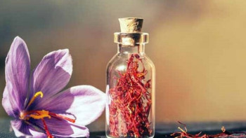 Фотография к новости: Ғалымдар фитобизнеспен айналысуға ниетті