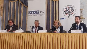 Фотография к новости: Сайлауға дайындық жақсы болды - ЕҚЫҰ өкілі