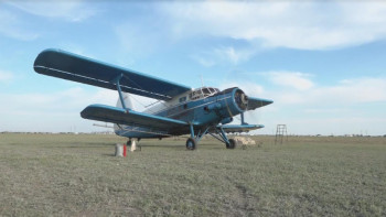 Фотография к новости: Павлодар облысында 71 мың гектар аумақ шыбын-шіркейге қарсы өңделеді