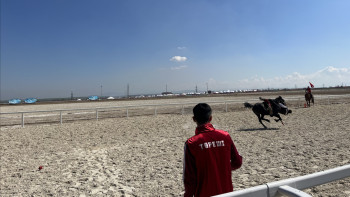 Фотография к новости: Шымкентте теңге ілуден Азия біріншілігі өтіп, Бекнұр Серіков чемпион атанды