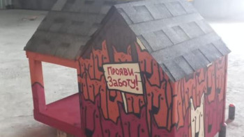 Фотография к новости: Алматыда мысықтарға үйшіктер орнатылды