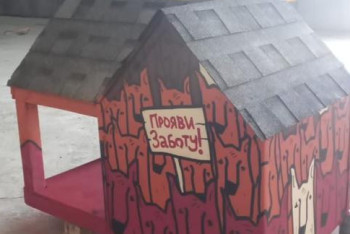 Фотография к новости: Алматыда мысықтарға үйшіктер орнатылды