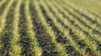 Фотография к новости: Қарағанды облысында егіс алқаптарын көбейту жоспарлануда