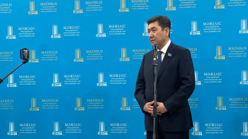 Фотография к новости: AMANAT партиясы сізге несімен ұнамайды? - Қошанов