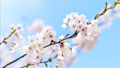 Сәуірде ауа райы қандай болады