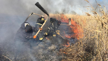 Фотография к новости: Атырауда қамыс өртеніп жатыр