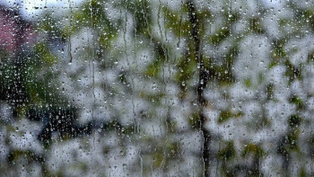 Фотография к новости: Еліміздің басым бөлігінде жауын-шашынды болады