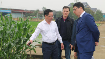 Фотография к новости: Қазақстан-Вьетнам күріш шаруашылығын дамытуды қолға алды