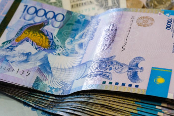 Фотография к новости: Ауылда үй салған жұмыс берушілерге субсидия беріледі