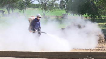 Фотография к новости: Алматыда кенеге қарсы өңдеу жұмыстары жүргізіліп жатыр