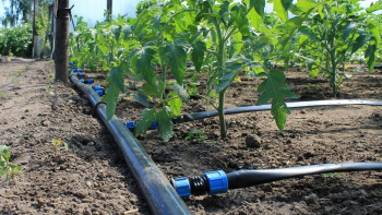 Фотография к новости: Өскеменде суару құбырларының 89%-ы ауыстырылады