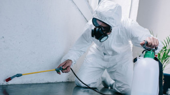 Фотография к новости: Астанада көктемгі дератизация жұмысы басталады