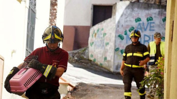 Фотография к новости: Жер сілкінісі кезінде жасалатын қарапайым 10 әрекет