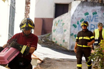 Фотография к новости: Жер сілкінісі кезінде жасалатын қарапайым 10 әрекет