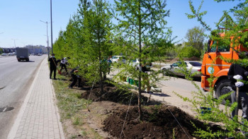 Фотография к новости: Елордада көктемгі экологиялық айлық өтеді