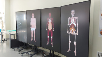 Фотография к новости: «Консервіленген» мүрде, дем алатын манекен: Медицина мектебінен фоторепортаж