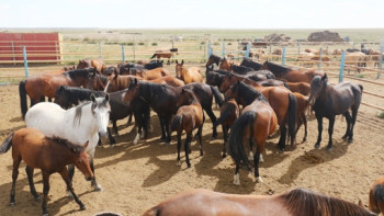 Фотография к новости: Қарағанды облысындағы бір ауылға карантин енгізілді
