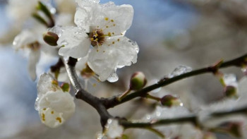 Фотография к новости: Демалыс күндері күн райы қандай болады