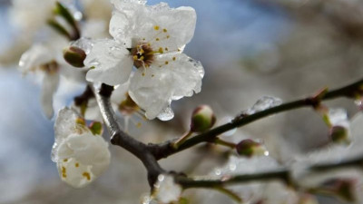 Демалыс күндері күн райы қандай болады