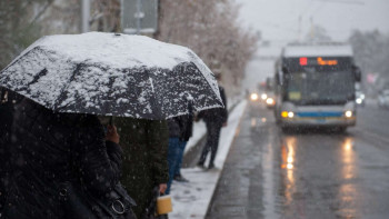 Фотография к новости: Бүгін бес өңірде қар жауады
