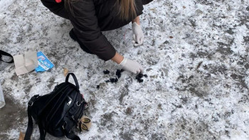 Фотография к новости: Қарағандыда есірткі таратумен айналысқан 20 жастағы қыз ұсталды