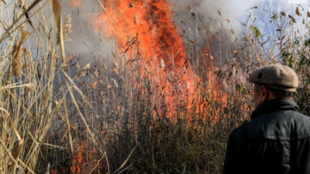 Фотография к новости: Павлодарда бір гектар құрғақ шөп жанды