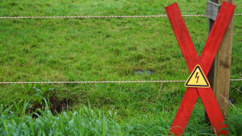 Фотография к новости: Жаңа заң: Жер телімін алу жеңілдейді