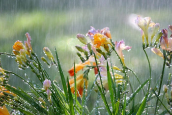 Фотография к новости: 9 сәуірге арналған ауа райы болжамы