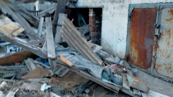 Фотография к новости: Атбасарлық екі тұрғын итті сойып тастаған