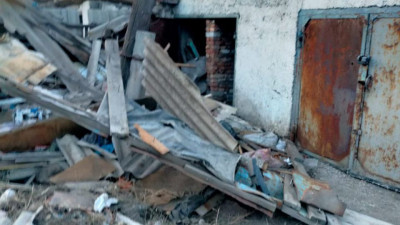 Атбасарлық екі тұрғын итті сойып тастаған