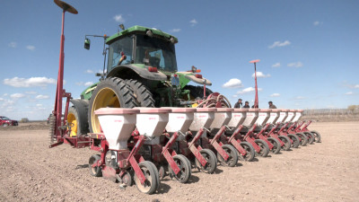 Жетісу облысында қант қызылшасы егістігінің көлемі 2 есе ұлғайтылады