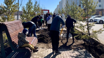 Фотография к новости: Астанада биыл бір миллион ағаш пен бұта отырғызылады