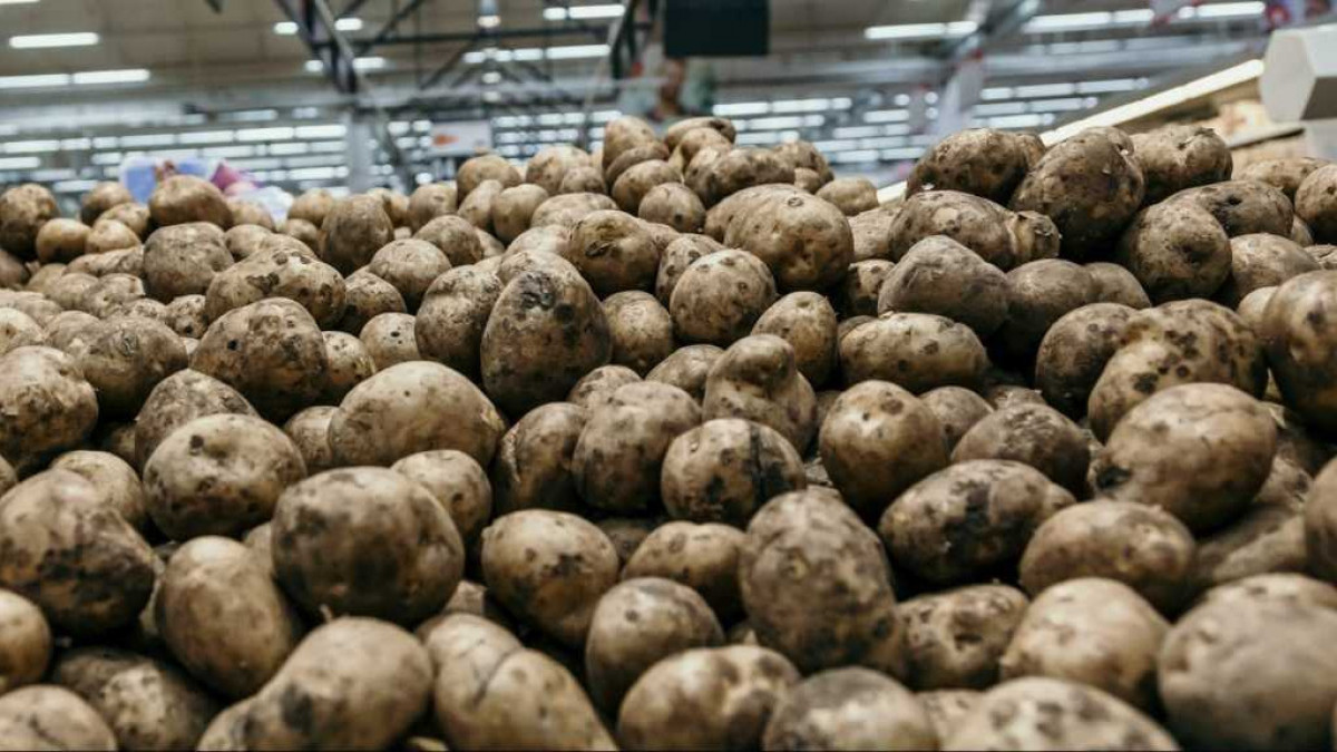  bryansk.bezformata.com