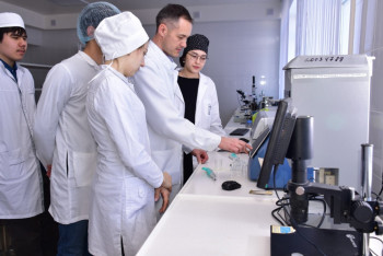 Фотография к новости: Ғалымдар мал азығына арналған инновациялық қоспа жасап шығарды