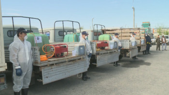 Фотография к новости: Қызылорда облысында кенеге қарсы дәрілеу жұмыстары басталады