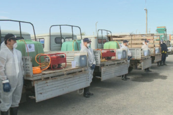 Фотография к новости: Қызылорда облысында кенеге қарсы дәрілеу жұмыстары басталады