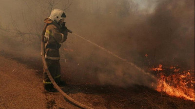 Шығыс Қазақстанда өрттің қауіпті кезеңі 7 айға созылады