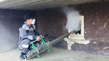 Фотография к новости: Атырауда маса улау жұмысы басталды