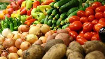 Фотография к новости: Бүгінде Астанада 7 мың тоннадан астам көкөніс қоры бар - басқарма