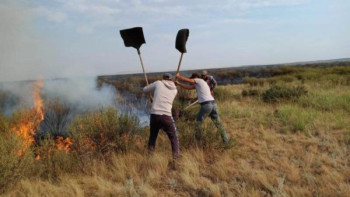 Фотография к новости: Моңғолиядағы дала өрті Қытай шекарасына жетті