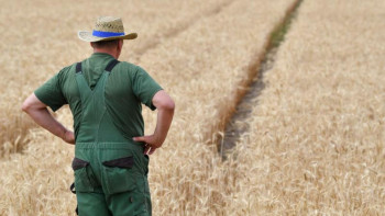 Фотография к новости: Отандық өндірушілер «жетімнің күйін» кешіп жүр – Respublica партиясы