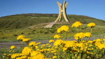 Фотография к новости: Ұлытау өңірінде онкологиялық аурулардың себептерін ведомствоаралық комиссия зерттеді