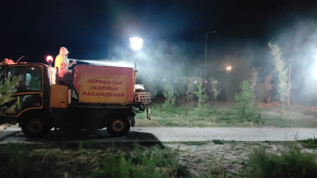 Фотография к новости: Алматыда жасыл желектерді өңдеу басталды