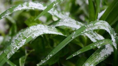 Демалыста күн райы қандай болады