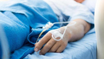 Фотография к новости: СҚО-да желшешек жұқтырғандар 3 есе көбейді