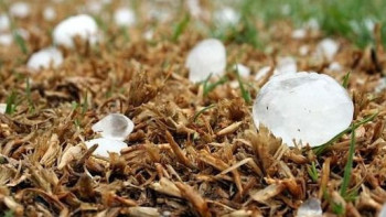 Фотография к новости: Республиканың 2 қаласы мен 9 өңірінде бұршақ жауады, қатты жел соғады – Қазгидромет