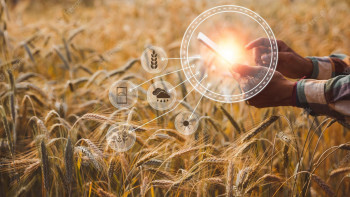 Фотография к новости: "Екі ортада шаруа қиналды". Сарапшы өтінім беретін порталдағы олқылықтарды тізіп берді