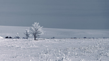 Фотография к новости: Павлодарда мал іздеуге шыққан әйел жоғалып кетті