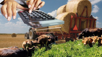 Фотография к новости: Түркістанда «Ауыл аманаты» жобасына 2500 азамат қатыса алады